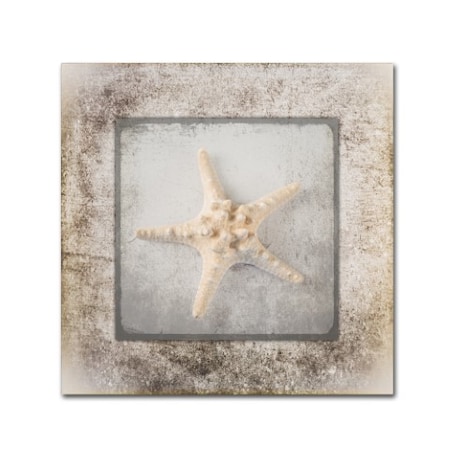 LightBoxJournal 'Stone Star 2' Canvas Art,14x14